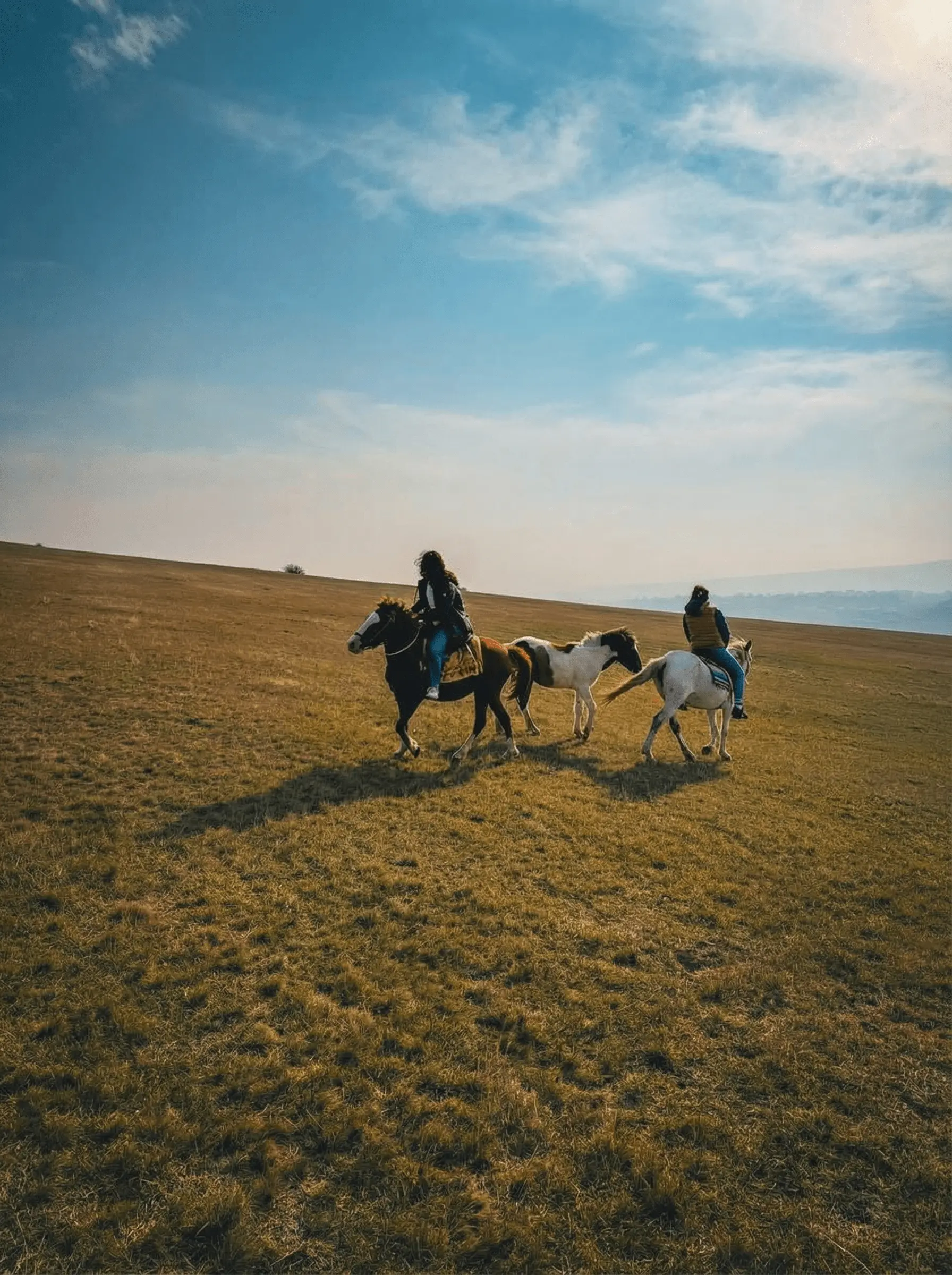 Professional horse riding instructors team near Tbilisi, Georgia
